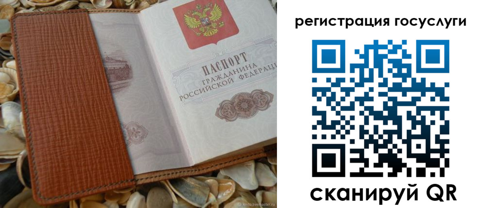 временная регистрация в квартире в Пионерском